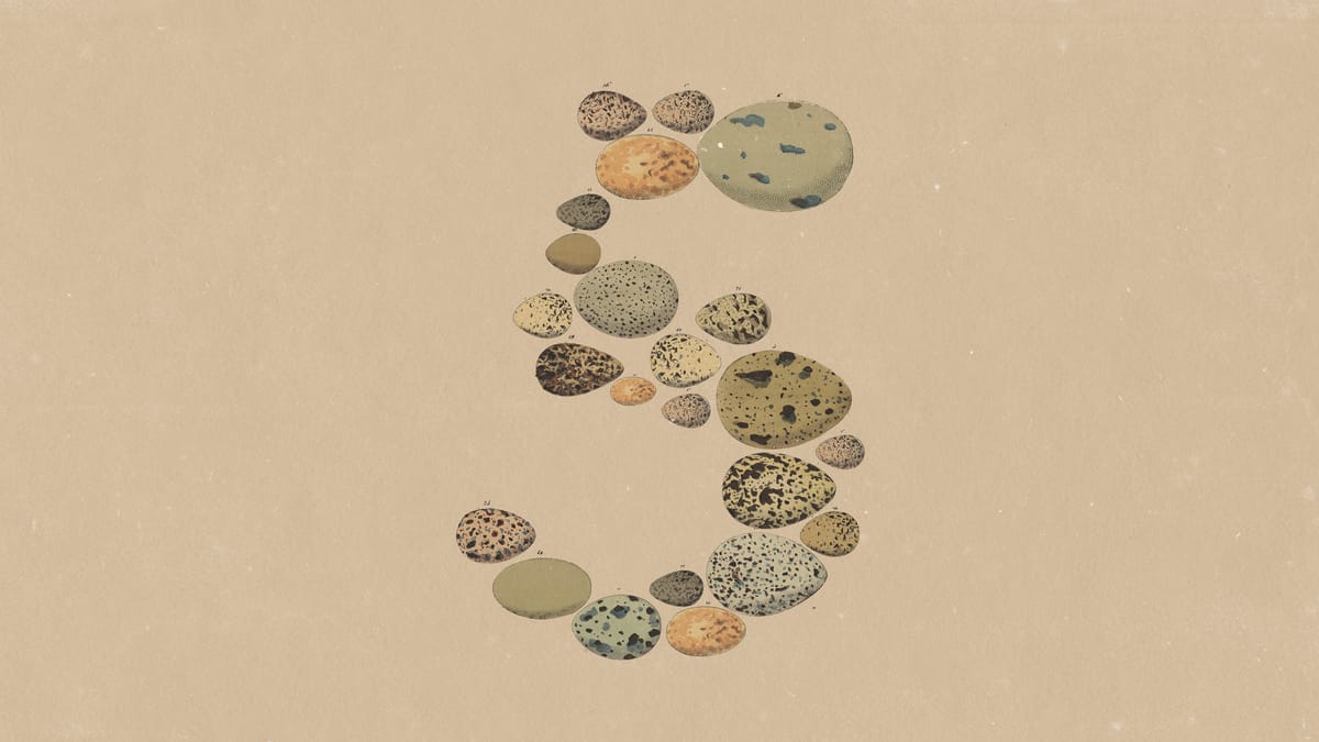 Opus 5 verslaat Fable 5 voor half geld, zegt Anthropic